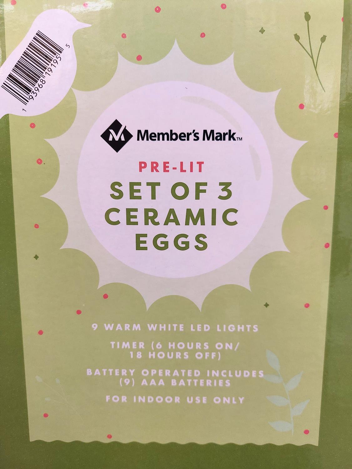 Member's Mark Pre-Lit Set of 3 Ceramic Easter Eggs - White