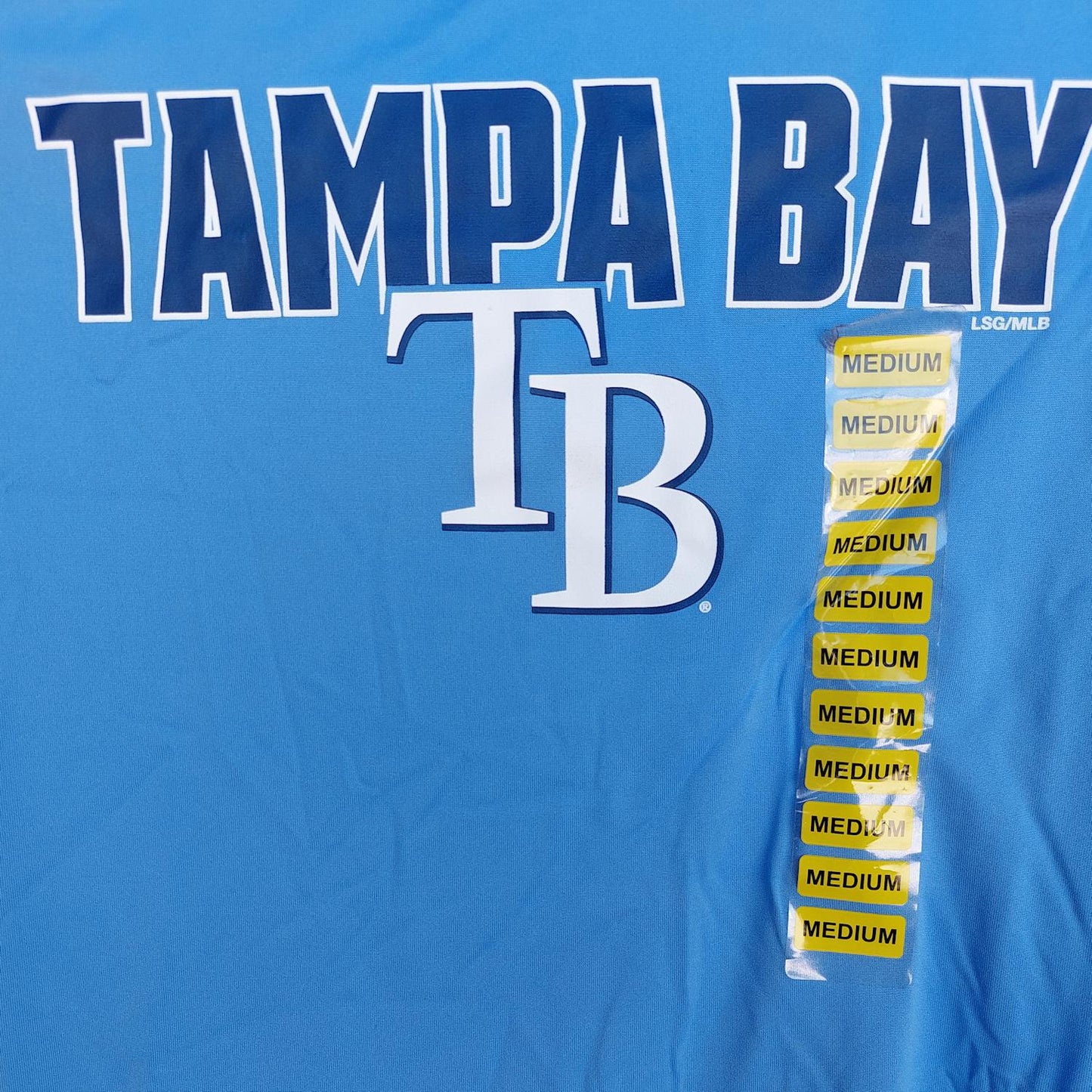 Majestic MLB Tampa Bay Rays Men's Light Blue Evolution Cool Base T-Shirt