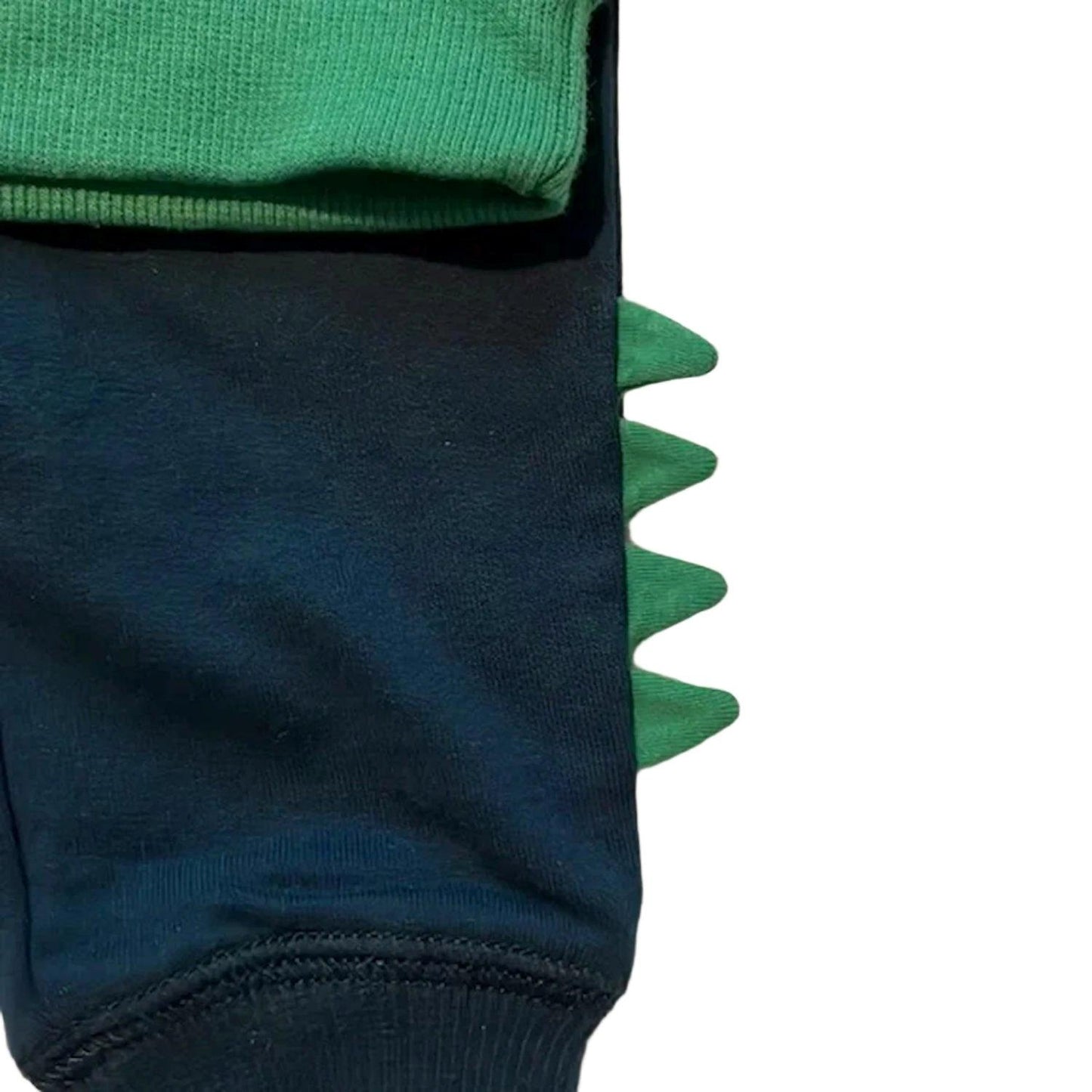 Carters Boys 2 Piece Green Dinosaur Sweatshirt Blue Jogger Playwear Set