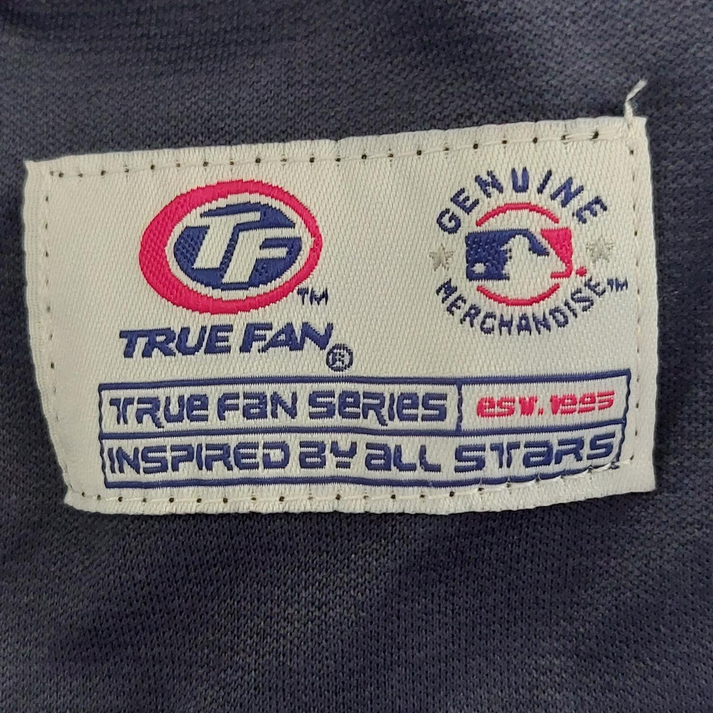 Tampa Bay Rays Baseball Jersey Button Down True Fan Navy Blue XL